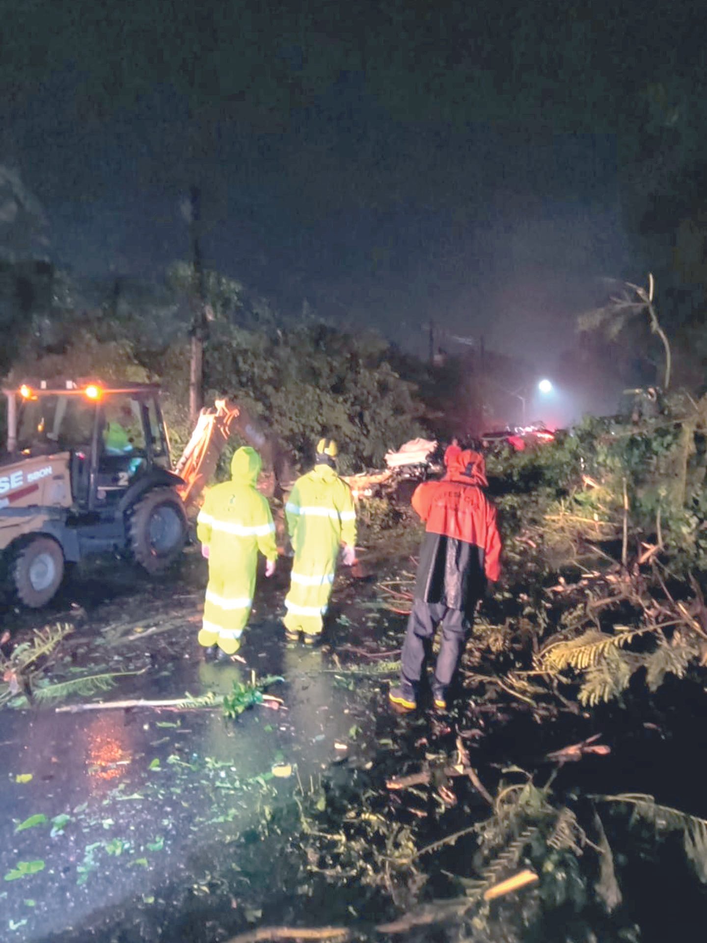 Árvore cai sobre veículo e mata três pessoas na Rio-Santos