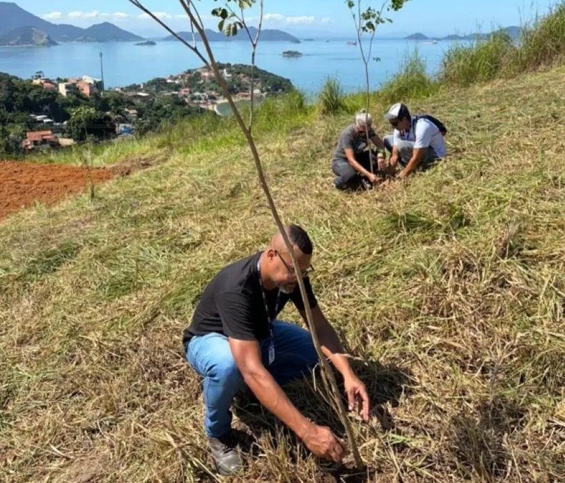 Mangaratiba inicia reflorestamento no Parque da Pedra do Urubu