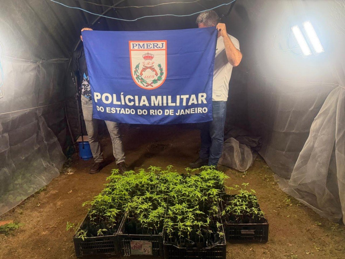 Duas mulheres são presas em estufa com 190 pés de maconha em Angra dos Reis