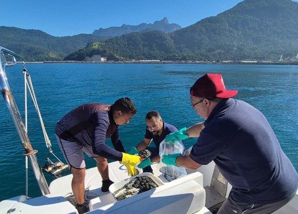 Angra e Paraty sob inspeção Agência Nuclear avalia proteção radiológica ambiental