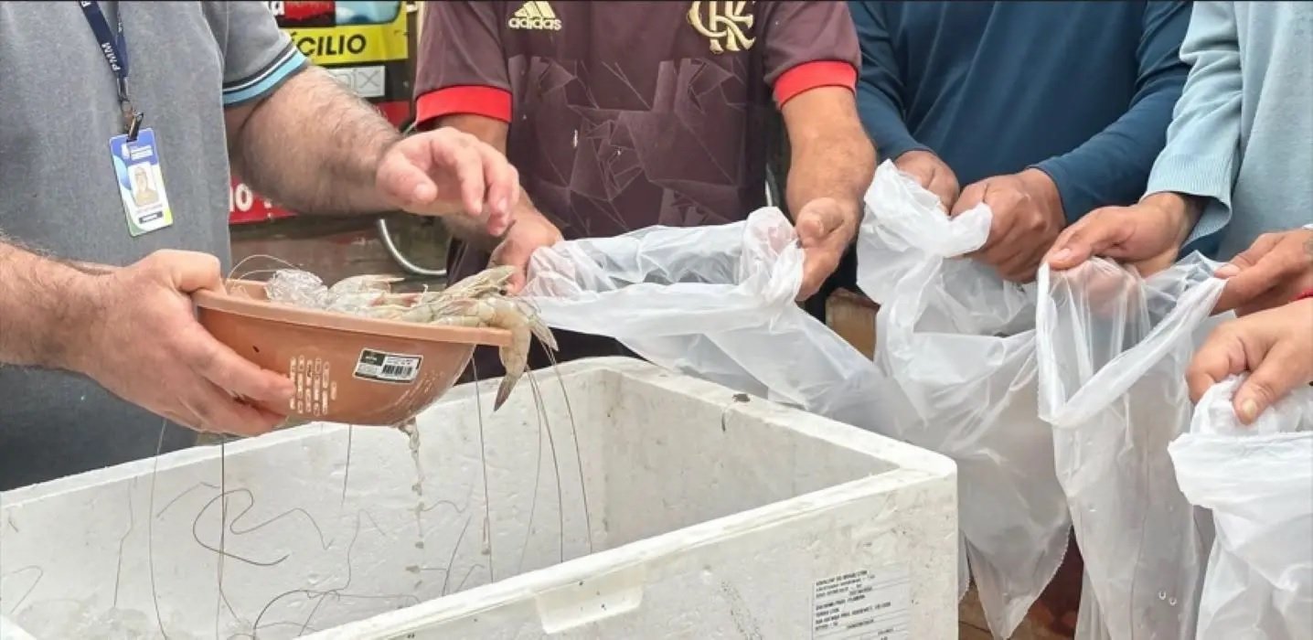 Pescado apreendido beneficia famílias em Mangaratiba