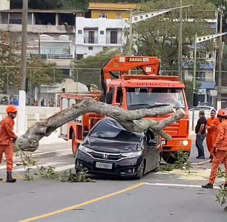 Vendaval atinge a Costa Verde e provoca acidentes, quedas de árvores e resgates no mar