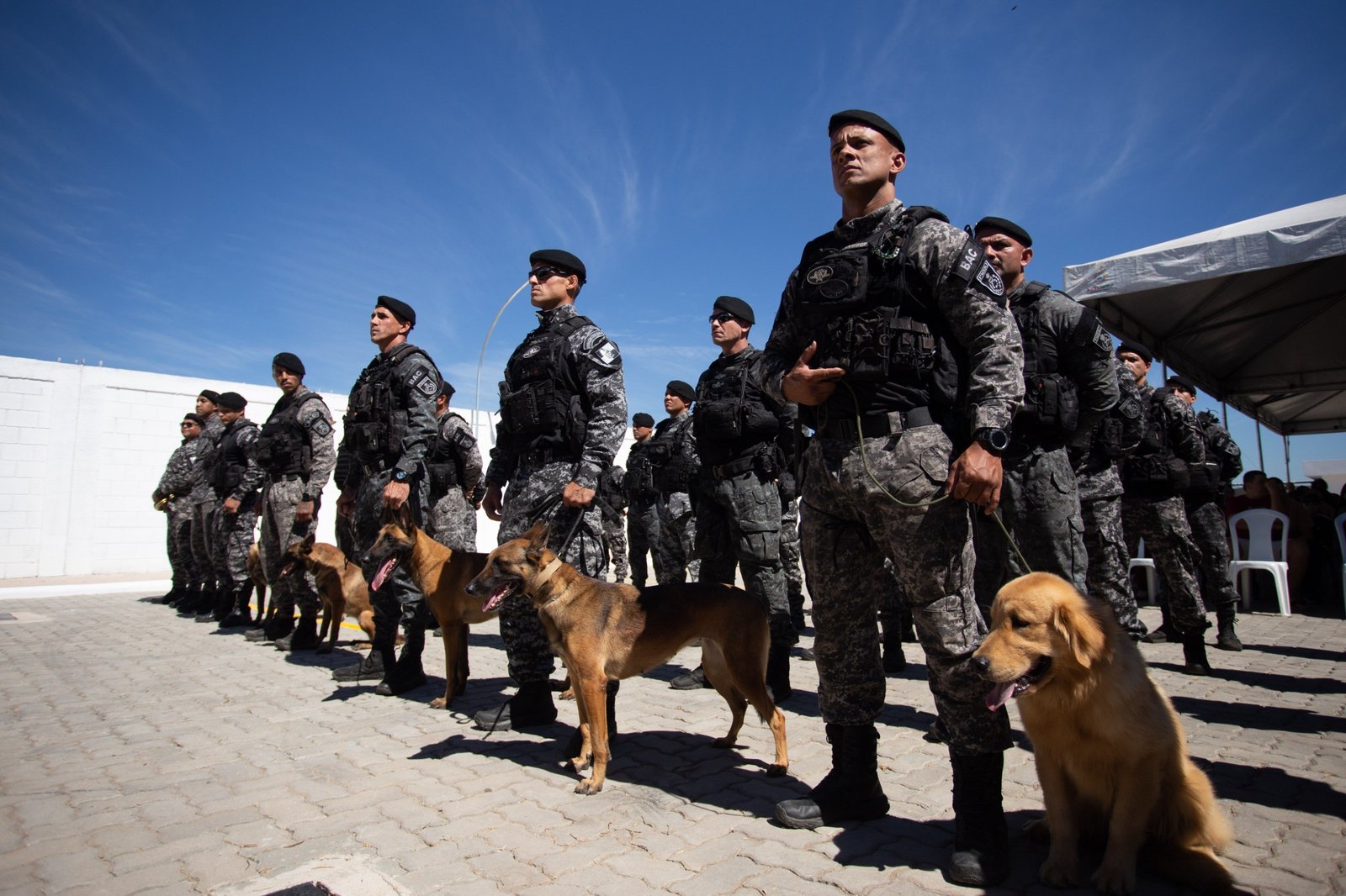 Batalhão de cães reforça segurança para 20 cidades do sul do Rio e Costa Verde
