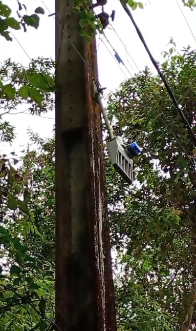 Moradores da Sapinhatuba 2 clamam por luz à Enel
